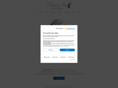 infinitinblue.com snapshot