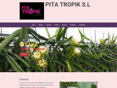 pitatropik.com snapshot