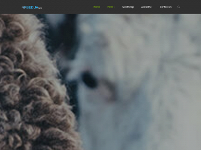bedua.net snapshot
