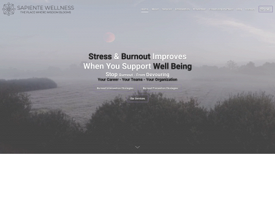 sapientewellness.com snapshot