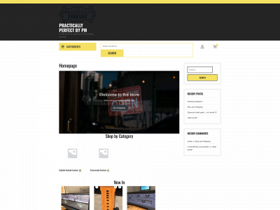practicallyperfectbypm.com snapshot