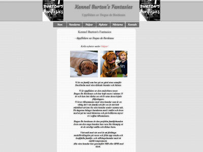 burtonsfantasies.com snapshot