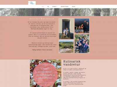 retreatbornholm.com snapshot