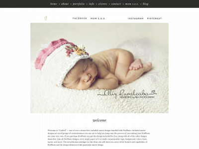 santabarbaranewbornphotography.com snapshot