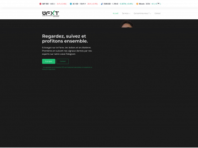 wealthfxtrading.com snapshot