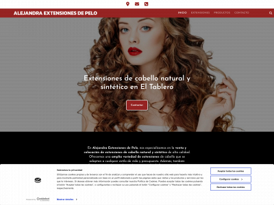 www.alejandraextensionesdepelo.com snapshot