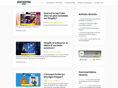 dropshipping-france.com snapshot