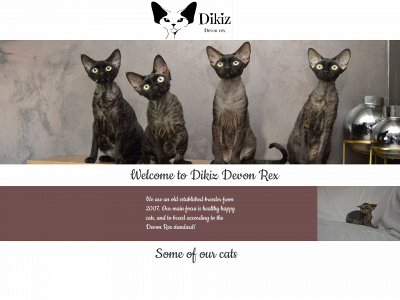 dikiz.no snapshot