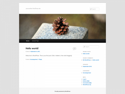 snowflakeautoglass.com snapshot
