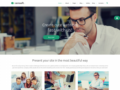 cernsoft.com snapshot