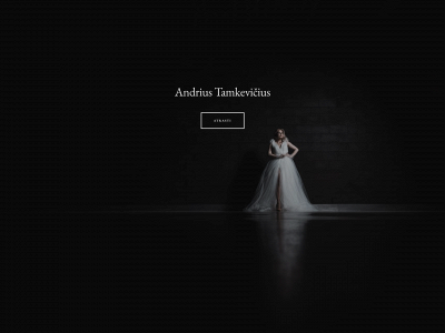 tamkeviciusphoto.com snapshot