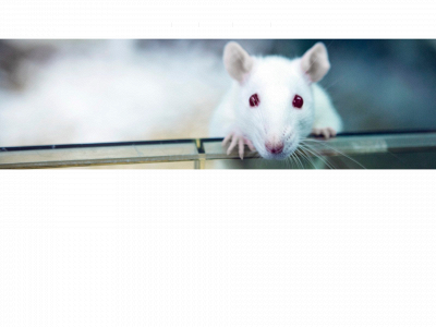 behavioural-neuroscience.com snapshot