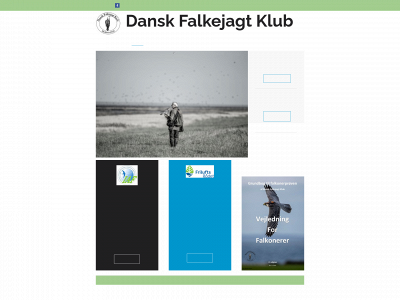 danskfalkejagtklub.dk snapshot
