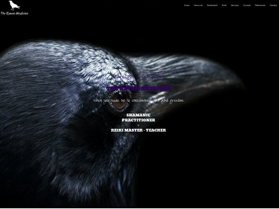theravenmedicine.com snapshot