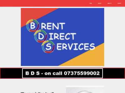 bdshandyman.com snapshot