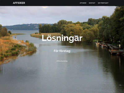 affideer.se snapshot
