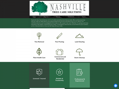 nashvilletcs.com snapshot
