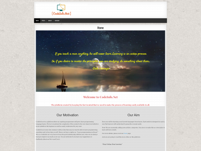 codeinfo.net snapshot
