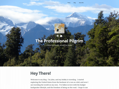 theprofessionalpilgrim.com snapshot