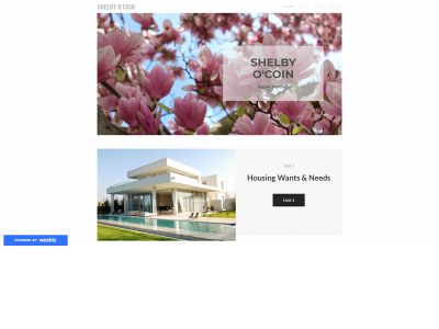 shelbyocoinportfolio.weebly.com snapshot