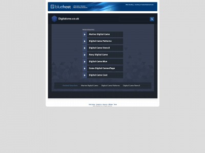 digitalcmo.co.uk snapshot