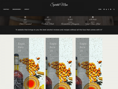 spiritdman.com snapshot