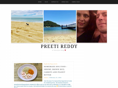 preetireddy.net snapshot