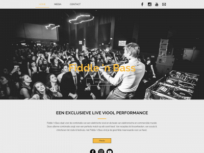 fiddlenbass.com snapshot