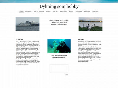 skelle.dk snapshot