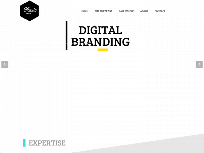 plaxio.pixeltogether.com snapshot
