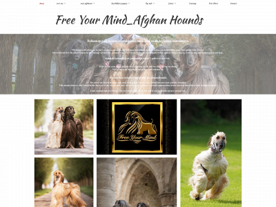 freeyourmind-afghans.be snapshot