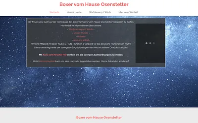 boxer-vom-hause-osenstetter.de snapshot