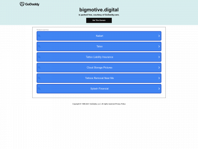 bigmotive.digital snapshot