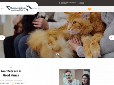 jumpercreekvetclinic.com snapshot