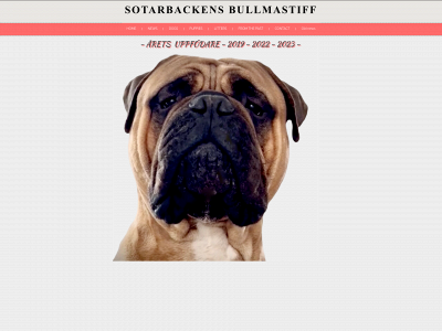 bullmastiff.se snapshot