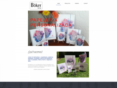 bokerbylor.com snapshot