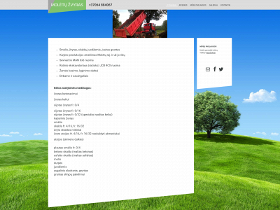 moletuzvyras.lt snapshot