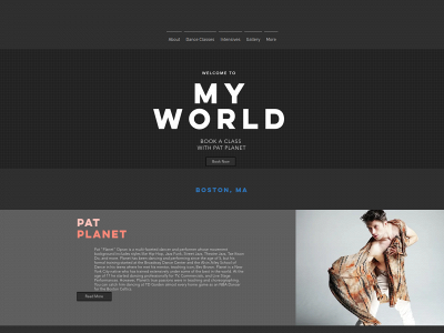 www.patrickplanet.co snapshot