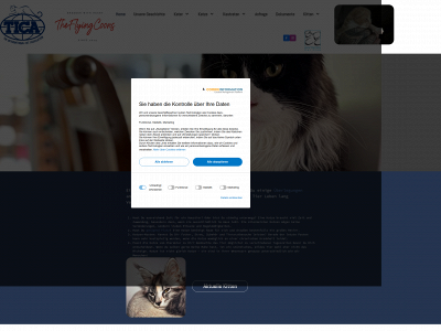 theflyingcoons.at snapshot