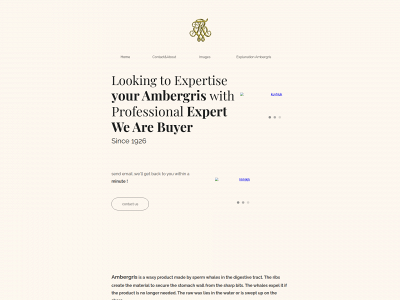 ambergrisbuyer.com snapshot