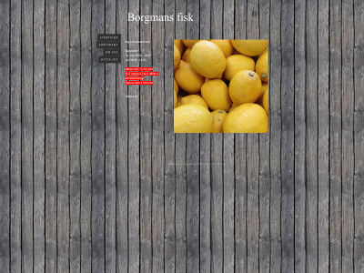 borgmansfisk.net snapshot