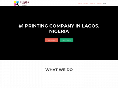 tielleglobal.com snapshot
