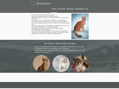 kamyne.dk snapshot
