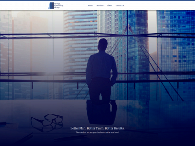 savageconsultinggroup.com snapshot