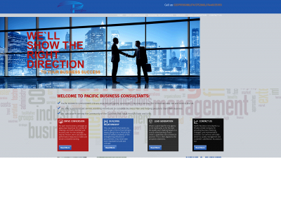 pacificbusinessconsultants.co.uk snapshot