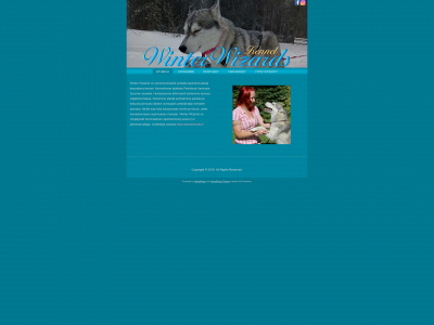 winterwizards.fi snapshot