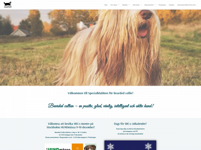 sbc-beardedcollie.com snapshot