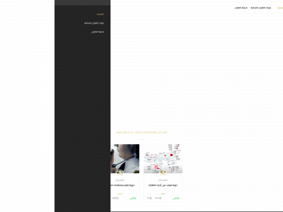 flyingleaders.com snapshot