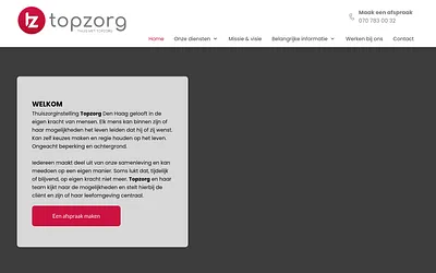 top-zorg.net snapshot