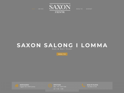 saxonsalong.se snapshot